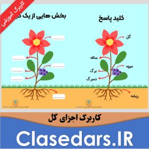 کاربرگ آموزشی اجزای گل